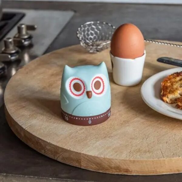 WIND-UP KITCHEN TIMER - OWL