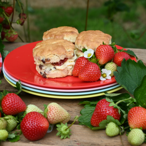 STRAWBERRIES & CREAM PLATES - PACK OF 4