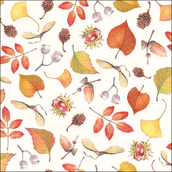AUTUMN DETAILS PAPER NAPKINS