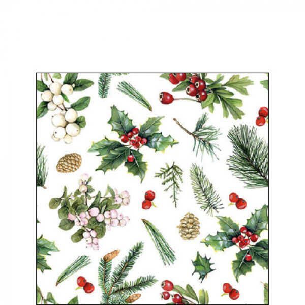 WINTER GREENERY PAPER COCKTAIL NAPKINS