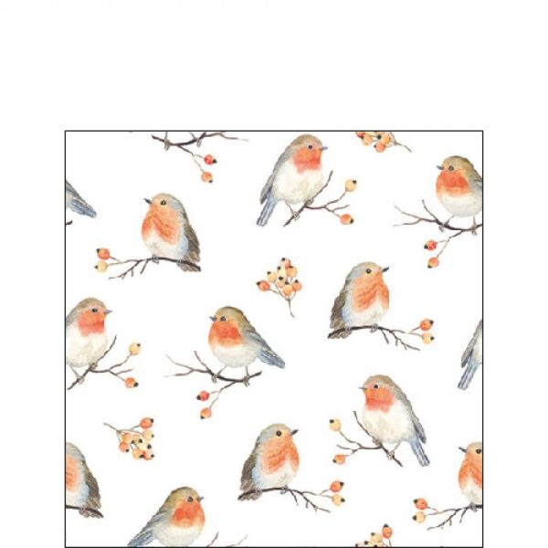 ROBIN FAMILY COCKTAIL PAPER NAPKINS