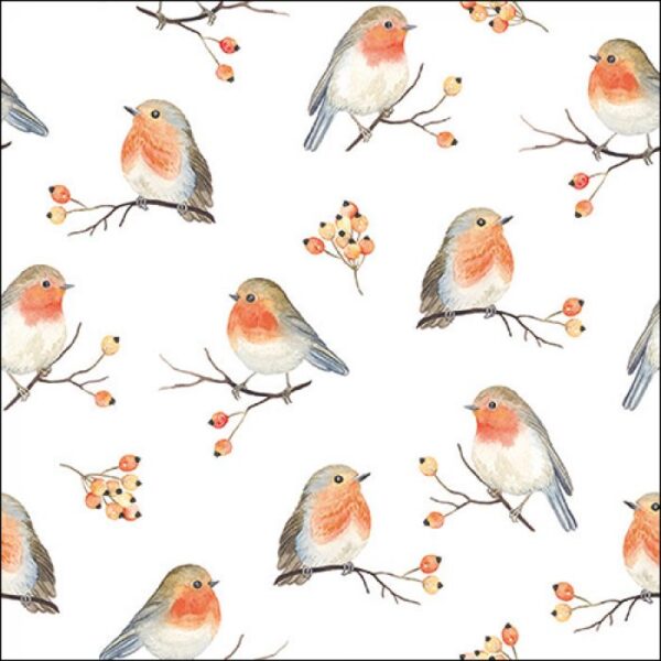 ROBIN FAMILY PAPER NAPKINS