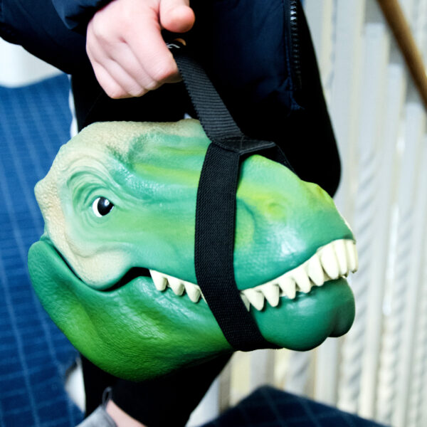 DINOSAUR LUNCHBOX - Image 4