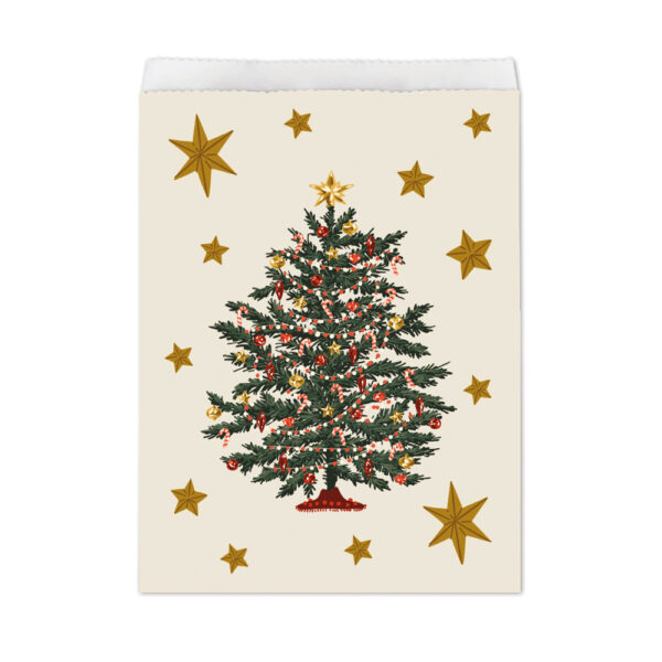 MAGIC CHRISTMAS PAPER TREAT BAGS - PACK OF 10