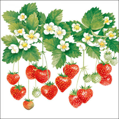 SUMMER FRUITS PAPER NAPKINS