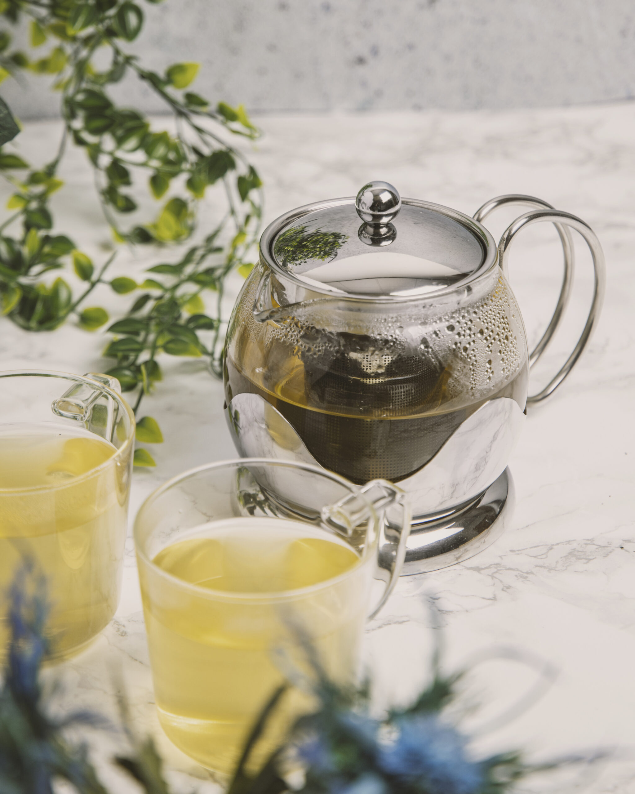 LA CAFETIERE GLASS TEAPOT WITH INFUSER - 2 CUP - Image 2