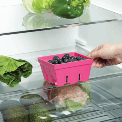WASH/STORE/SERVE BERRY BOXES