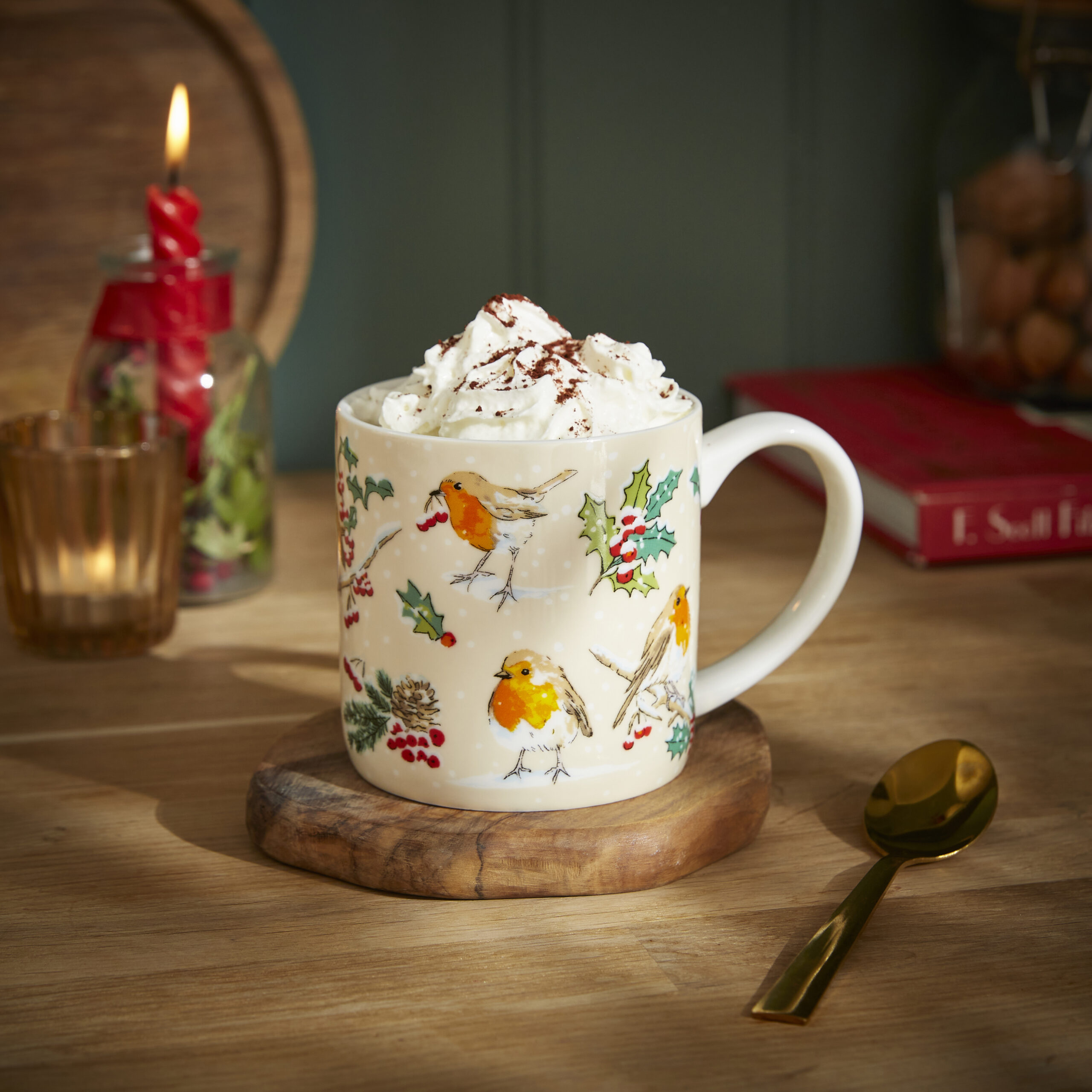 CHRISTMAS ROBINS NEW BONE CHINA MUG