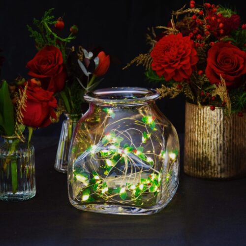 BOTANICAL HOLLY  STRING LIGHTS - 3 METER LENGTH